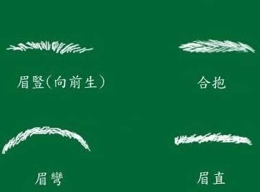 眉運幾多歲|傳統相學精髓：眉毛解命運，眉毛看凶吉大運，看相圖。